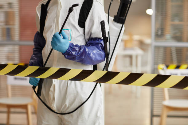 Professional Sewage Cleanup technician working in Islip Terrace, NY
